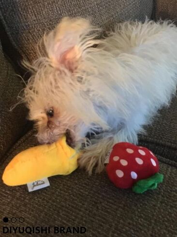 Puppy Toys Squeaky Goat Plush Toy Perfect for Small Dogs Teething Toys Not Suitable for Aggressive Chewers, a Variety of Dog Toy Sets in Saudi Arabia