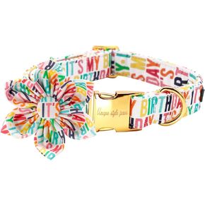 Unique style paws Dog Collar with Flower, Adjustable Birthday Dog Collar Flower Pattern, Durable Pet Collar for Small Medium Large Dogs