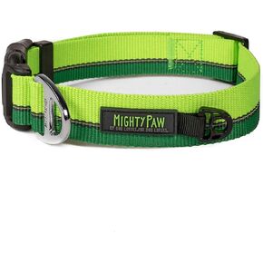 طوق كلب عاكس للضوء من مايتي باو | طوق ممتاز عالي الوضوح مع خياطة عاكسة. مقاومة للطقس، أجزاء صلبة شديدة التحمل، ألوان وتصميم أنيق. مثالية للحيوانات الأليفة الصغيرة والكبيرة (برتقالي) in Kuwait