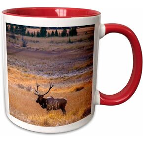 3dRose USA Colorado Elk in Rocky Mountain National Park Two Tone Mug, 11 oz, Black