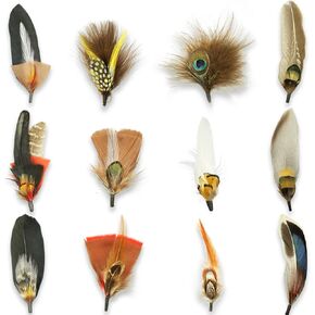 12Pcs Hat Feathers for Cowboy Hats, Small Feathers for Hats, Natural Assorted Feathers Cowboy Hat Feather, Colorful Craft Feathers Hat Feathers for DIY Craft Accessories Decorations (12 Style)