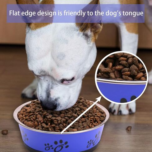Stainless Steel Metal Dog Bowls Dog dishes Pet bowl Pet Feeding or Water 2pcs Blue Non Slip Rubber Bottom and Easy to Clean in Saudi Arabia