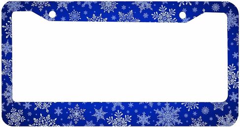 Decorative License Plate Frame Skull Octopus Art Car Tag Cover Aluminum Auto License Plate Holder for Men Women in Saudi Arabia