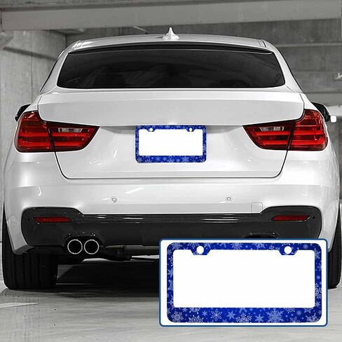 Decorative License Plate Frame Skull Octopus Art Car Tag Cover Aluminum Auto License Plate Holder for Men Women in Saudi Arabia