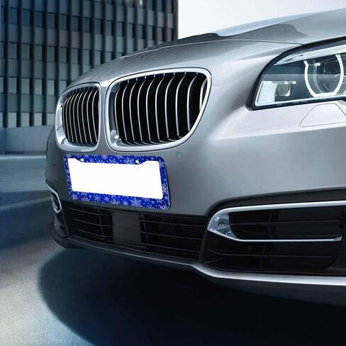 Decorative License Plate Frame Skull Octopus Art Car Tag Cover Aluminum Auto License Plate Holder for Men Women in Saudi Arabia