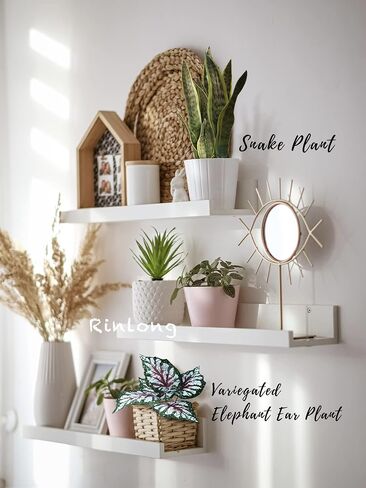 Rinlong Fake Alocasia Amazonica Tropical Safari Jungle Leaves Artificial Plants for Home Hawaiian Decor Indoor African Mask Plant in Saudi Arabia