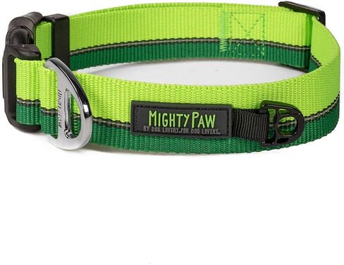 طوق كلب عاكس للضوء من مايتي باو | طوق ممتاز عالي الوضوح مع خياطة عاكسة. مقاومة للطقس، أجزاء صلبة شديدة التحمل، ألوان وتصميم أنيق. مثالية للحيوانات الأليفة الصغيرة والكبيرة (برتقالي) in Kuwait