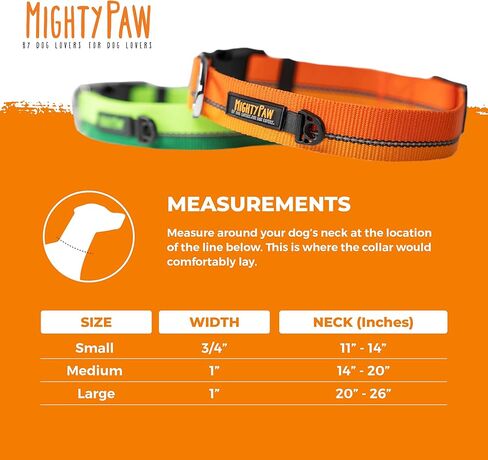 طوق كلب عاكس للضوء من مايتي باو | طوق ممتاز عالي الوضوح مع خياطة عاكسة. مقاومة للطقس، أجزاء صلبة شديدة التحمل، ألوان وتصميم أنيق. مثالية للحيوانات الأليفة الصغيرة والكبيرة (برتقالي) in Kuwait