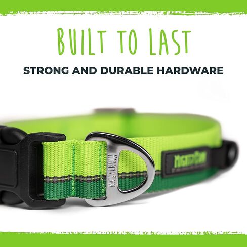 طوق كلب عاكس للضوء من مايتي باو | طوق ممتاز عالي الوضوح مع خياطة عاكسة. مقاومة للطقس، أجزاء صلبة شديدة التحمل، ألوان وتصميم أنيق. مثالية للحيوانات الأليفة الصغيرة والكبيرة (برتقالي) in Kuwait