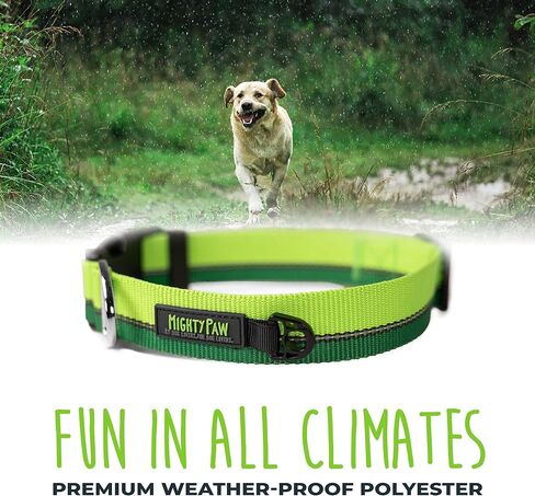 طوق كلب عاكس للضوء من مايتي باو | طوق ممتاز عالي الوضوح مع خياطة عاكسة. مقاومة للطقس، أجزاء صلبة شديدة التحمل، ألوان وتصميم أنيق. مثالية للحيوانات الأليفة الصغيرة والكبيرة (برتقالي) in Kuwait