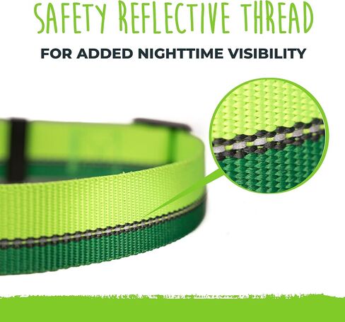 طوق كلب عاكس للضوء من مايتي باو | طوق ممتاز عالي الوضوح مع خياطة عاكسة. مقاومة للطقس، أجزاء صلبة شديدة التحمل، ألوان وتصميم أنيق. مثالية للحيوانات الأليفة الصغيرة والكبيرة (برتقالي) in Kuwait