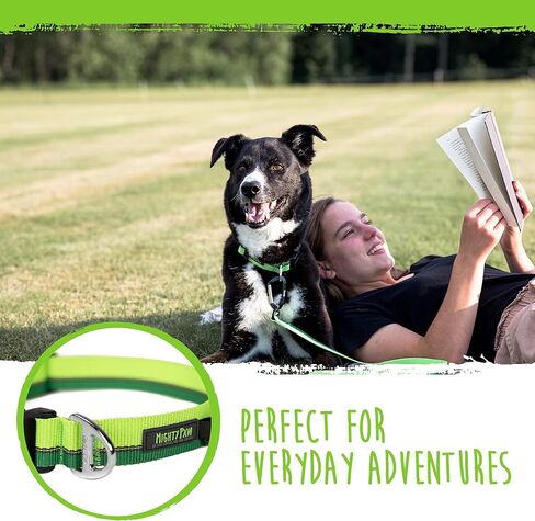 طوق كلب عاكس للضوء من مايتي باو | طوق ممتاز عالي الوضوح مع خياطة عاكسة. مقاومة للطقس، أجزاء صلبة شديدة التحمل، ألوان وتصميم أنيق. مثالية للحيوانات الأليفة الصغيرة والكبيرة (برتقالي) in Kuwait