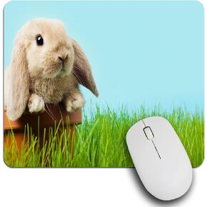 IBILIU Mouse Pad Dog Paw Prints,Colorful Dog Footprint Rectangle Mousepad Non-Slip Rubber Base Computer Mouse Pad for Laptop, Office, Home - 9.5 X 7.9 Inch