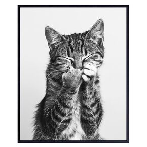 funny Cat Bathroom Prints - funny Bathroom Pictures, Cat Room Decor - Bath Decorations, Cat Home Decor, Cat Pictures Wall Decor, Black and White Bathroom Poster, Cat Art, Bathroom Accessories 8x10