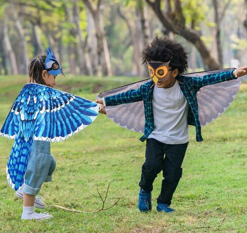 D.Q.Z Bird-Wings-Costumes for Kids with Bird Masks, 3 Pack Eagle Owl Wings for Boys Girls Halloween Dress Up Party Supplies in Saudi Arabia
