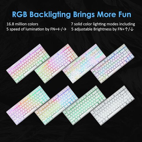 HUO JI Wireless RGB Mechanical Keyboard，Bluetooth/2.4Ghz/Wired Z-88 Gaming Keyboard with Clicky Blue Switches RGB LED Backlit 81 Keys Compact for Mac, PC, Black in Saudi Arabia