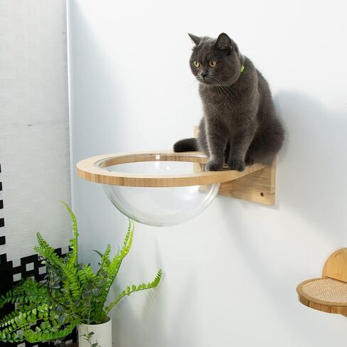 Yangbaga Cat Shelves & Perches for Wall Pack of 5, Wall Mounted Bamboo Cat Climbing & Jumping Board with Sisal Scratching Padding for Sleeping, Scracthing and Excercising in Saudi Arabia