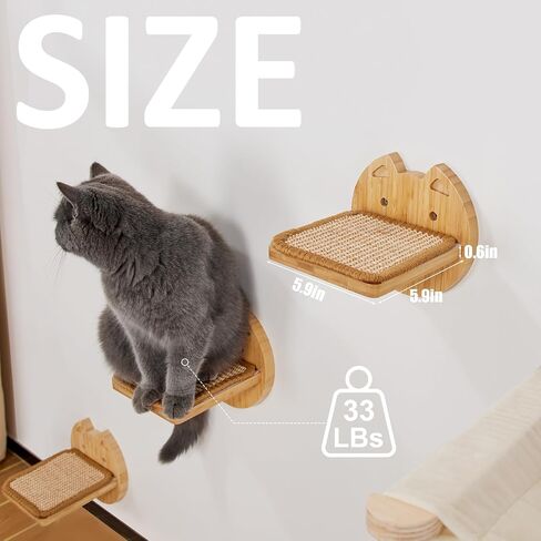 أرجوحة القطط من يانجباغا، أثاث حائط للقطط من الخيزران مثبت على الحائط، أسرة وأثاث للقطط شفافة ومتينة للقطط الصغيرة والقطط البالغة، أرفف حائط للقطط للنوم والراحة (كبسولة القطط) in Kuwait