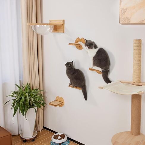 أرجوحة القطط من يانجباغا، أثاث حائط للقطط من الخيزران مثبت على الحائط، أسرة وأثاث للقطط شفافة ومتينة للقطط الصغيرة والقطط البالغة، أرفف حائط للقطط للنوم والراحة (كبسولة القطط) in Kuwait