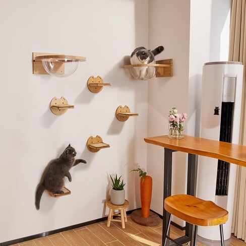 أرجوحة القطط من يانجباغا، أثاث حائط للقطط من الخيزران مثبت على الحائط، أسرة وأثاث للقطط شفافة ومتينة للقطط الصغيرة والقطط البالغة، أرفف حائط للقطط للنوم والراحة (كبسولة القطط) in Kuwait