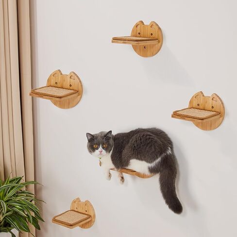 أرجوحة القطط من يانجباغا، أثاث حائط للقطط من الخيزران مثبت على الحائط، أسرة وأثاث للقطط شفافة ومتينة للقطط الصغيرة والقطط البالغة، أرفف حائط للقطط للنوم والراحة (كبسولة القطط) in Kuwait