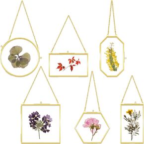 6 Pcs Double Glass Frame for Pressed Flowers 6 Different Golden Hanging Glass Picture Frames with Chain Gold Floating Frame Artwork Display Frame for Gallery Wall Decor Dried Plant Leaf