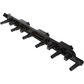 Delphi GN10529 Cassette Ignition Coil