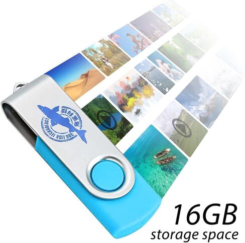 SSD SATA MSATA 256GB Dogfish محرك الأقراص الصلبة الداخلي عالي الأداء لأجهزة الكمبيوتر المحمول المكتبية SATA III 6 جيجابايت/ثانية وقرص U 16 جيجابايت in Kuwait