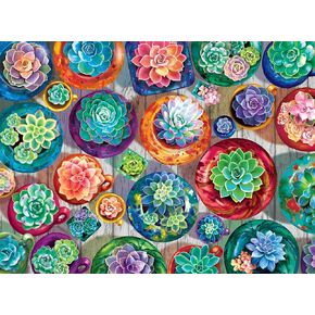 Buffalo Games - Gina Jane Lee - Bonjour - Succulent Selection - 1000 Piece Jigsaw Puzzle for Adults Challenging Puzzle Perfect for Game Nights - Finished Puzzle Size is 26.75 x 19.75
