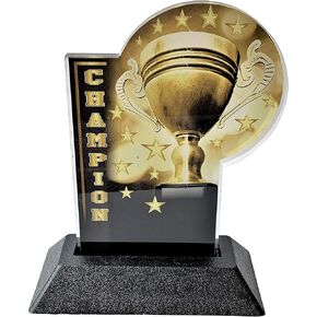 Express Medals 6 Inch Full Color Acrylic Champion Trophy Award Plaque Prime Gift