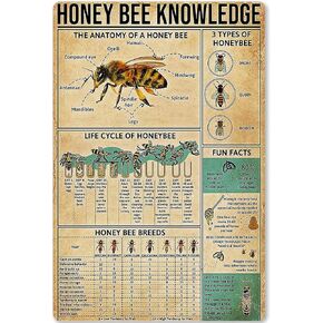 Honey Bee Knowledge Metal Tin Sign Information About Bees Planing Diagram Poster Plaque for School Education Bar Cafe Club Home Kitchen Wall Decoration 12x16 Inches