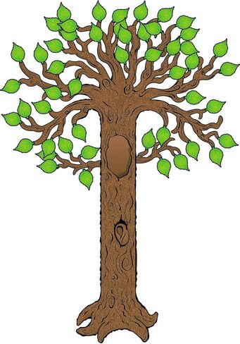 Carson Dellosa 77 pc Bulletin Board Tree Set, Tree Wall Decor With Leaf Cutouts for Daycare and Classroom Decor, Fall Bulletin Board Decorations, and Sunday School Decorations for Classroom in Saudi Arabia