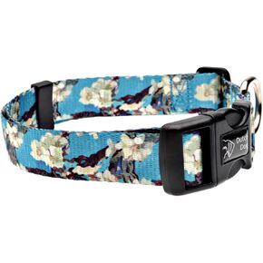 Eco Friendly Van Gogh Dog Collar, 15 to 20-Inch, Medium