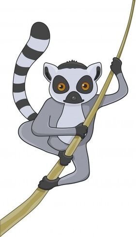 ملصق حائط قابل للتقشير واللصق على شكل شخصية كرتونية ليمور (ارتفاع 12 بوصة × عرض 8 بوصة) WM292570 in Kuwait