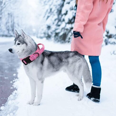 BUYTER Reflective Nylon Tactical Dog Collar Military Adjustable Durable for Large German Shepherd Outdoor Working Training Walking with Leash (XL, Pink) in Saudi Arabia