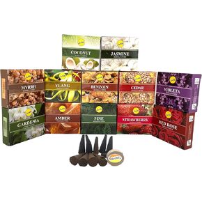 Sreevani Natural Masala Incense Cones and Holder Bundle, 120 Cones Total, Assorted #2