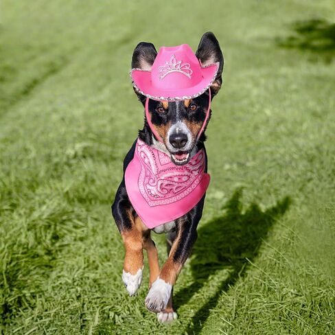 Pet Pink Cowboy Hat Costume Accessory Set Dog Cat Size Pink Cowgirl Princess Hat with Crown Tiara Bandana/Scarf for Cat Puppy Western Costume Daily Wearing Photo Props (Set A) in Saudi Arabia