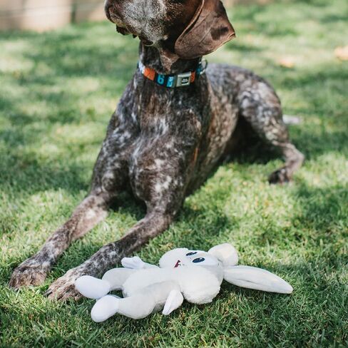 Buckle-Down Dog Toy, Looney Tunes, Plush Squeaker Bugs Bunny Full Body (DTPT-LTBBQ),8" x 6" in Saudi Arabia