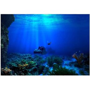 Aquarium Background, 3D Effect Fish Tank Background, PVC Adhesive Aquarium Underwater Seaworld Backdrop Decorations Poster(#1)