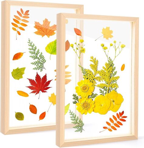 Augshy 2 Pack Pressed Flowers Frames, 8 x 8 Floating Picture Frame Acrylic Dried Flower Frame Clear DIY Pressed Flower Art Display Frame for Tabletop Wall Decorations Gifts in Saudi Arabia