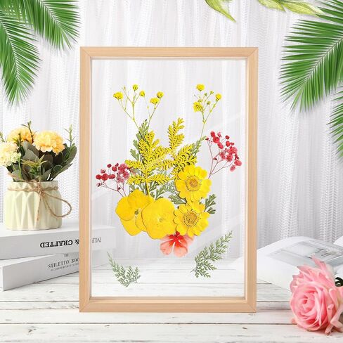 Augshy 2 Pack Pressed Flowers Frames, 8 x 8 Floating Picture Frame Acrylic Dried Flower Frame Clear DIY Pressed Flower Art Display Frame for Tabletop Wall Decorations Gifts in Saudi Arabia