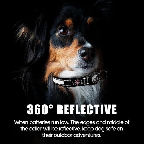 Airtag Dog Collar with Reflective Dog Collar and Light Up Dog Collar for Night Walking and Dog Camping-Dog Light Up Collar with Rechargeable Waterproof Light Can Glow in The Dark Collars(Black,S) in Kuwait