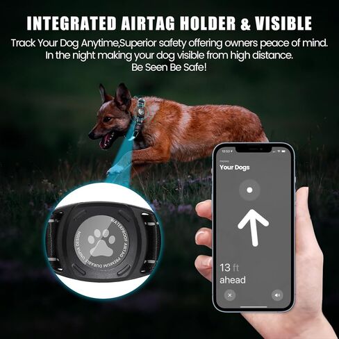 Airtag Dog Collar with Reflective Dog Collar and Light Up Dog Collar for Night Walking and Dog Camping-Dog Light Up Collar with Rechargeable Waterproof Light Can Glow in The Dark Collars(Black,S) in Kuwait