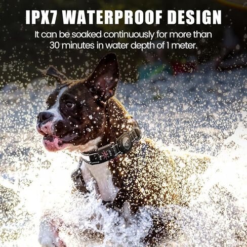 Airtag Dog Collar with Reflective Dog Collar and Light Up Dog Collar for Night Walking and Dog Camping-Dog Light Up Collar with Rechargeable Waterproof Light Can Glow in The Dark Collars(Black,S) in Kuwait