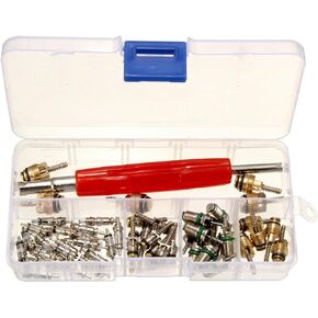 50Pcs Car Air Conditioning Core Valves,R12 R134A Automotive A/C Valve Stem Cores with Removal Tool for Car Air Contitionaing Repair Replacement