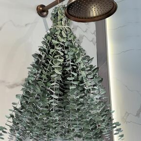 25 PCS Real Dried Eucalyptus Stems for Shower Hanging-17'' Large Preserved Eucalyptus Shower Plants Shower Stuff for Shower Decor, Fresh Eucalyptus Leaves, Fragrance, Bathroom Vase Decor