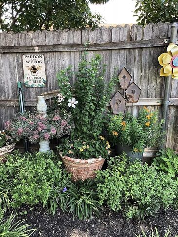 Funny Garden Decor - A Dirty Hoe is a Happy Hoe - Gardening Gifts - Vintage Outside Gardening Sign - Garden Gate Signs - 12x8 inches Aluminum Metal Sign in Saudi Arabia