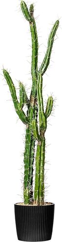 Vickerman Everyday 18" Indoor Artificial Green Cactus in Cement Pot - Pre-Made Potted Cactus - Durable Plastic Plant in Cement Pot - Maintenance Free in Saudi Arabia