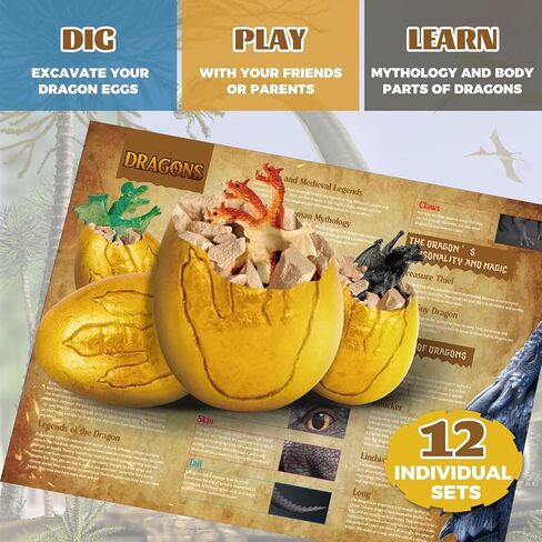 طقم حفر بيض التنين للأطفال - 12 مجموعة أدوات حفر بيض التنين - طقم حفر مع شخصيات لعبة تنين للأطفال بعمر 6 أولاد وبنات، هدية لعبة تعليمية للعلوم الجذعية لعمر 6 7 8 9 سنوات in Kuwait