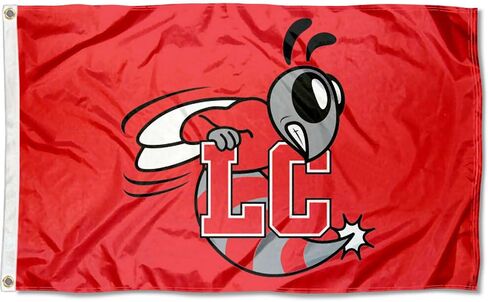Lynchburg Hornets Flag in Saudi Arabia